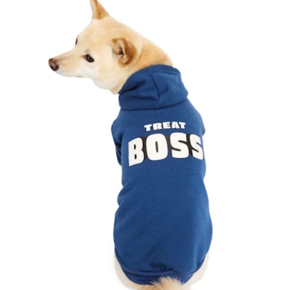 Blue Dog Hoodie -Size Large (fits like a Medium-see description and photos)